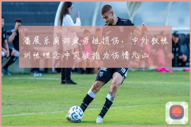潘展乐肩部疲劳性损伤,中外教练训练理念冲突被指为伤情元凶